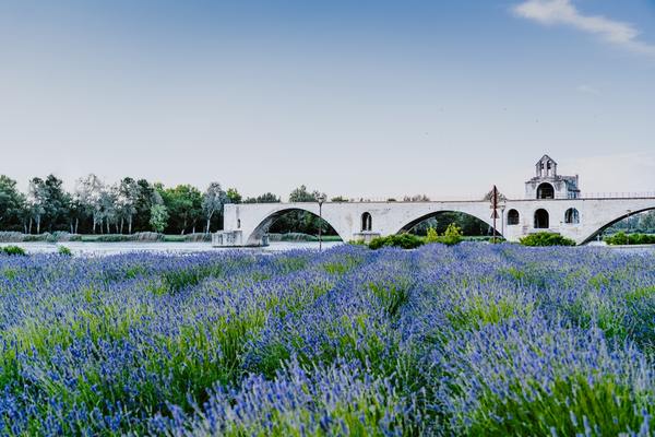 FRAVN - Avignon, France Photo credit belongs to Xuan Nguyen.jpg